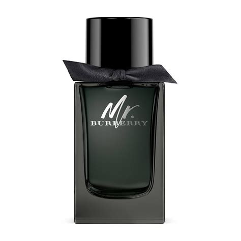 profumo mr burberry uomo note|burberry cologne for men.